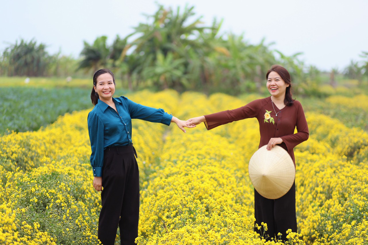 Du khách chụp ảnh “check-in” tại cánh đồng hoa cúc dược liệu ở xã Thắng Thủy (huyện Vĩnh Bảo).