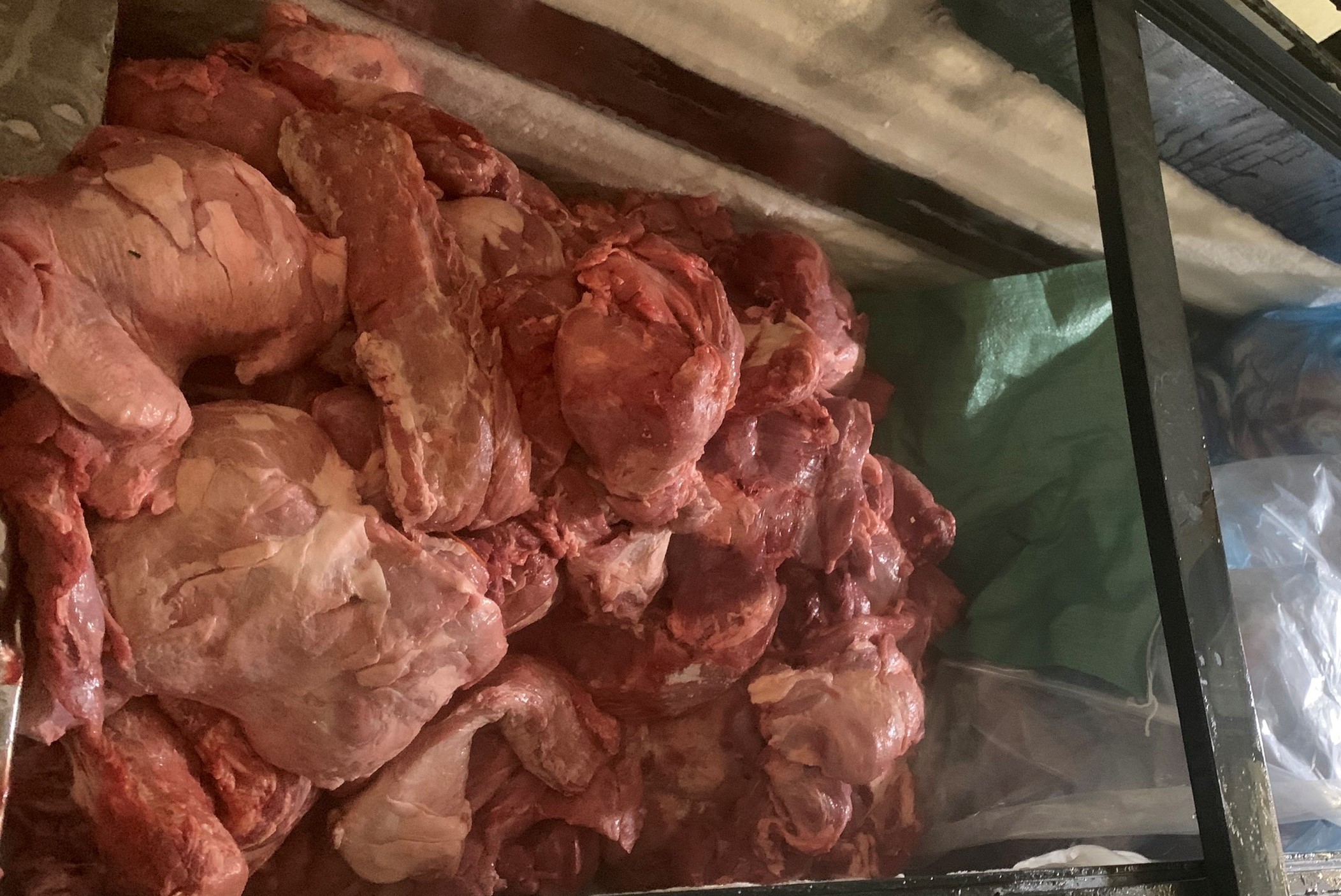 Hơn 700 kg thịt lợn và mỡ đang bốc mùi, nhiễm virus dịch tả lợn châu Phi 