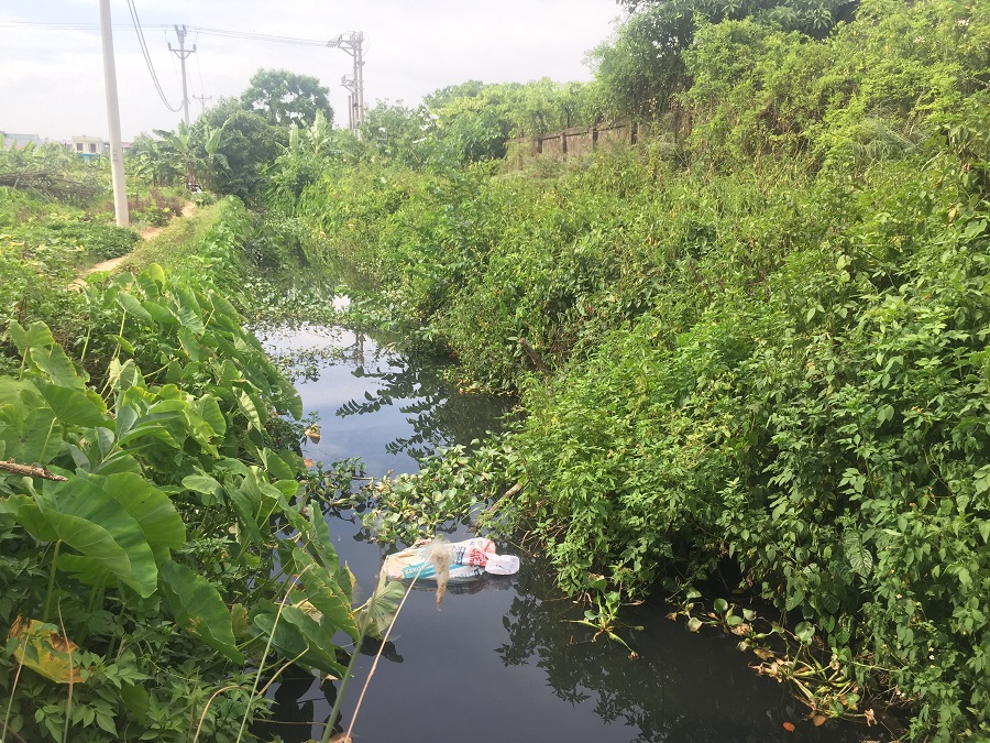 Nước thải tại khu dân cư Quỳnh Hoàng, Nam Sơn (An Dương) xả trực tiếp ra sông Rế gây ô nhiễm môi trường 