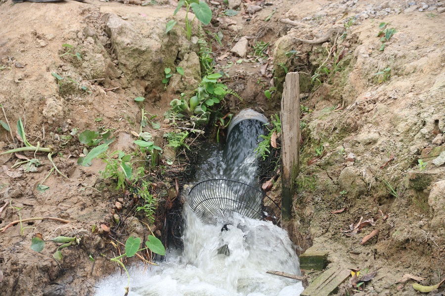 Nguồn nước thải sau khi được xử lý thải ra hệ thống kênh An Kim Hải