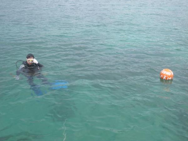 Quá trình khảo sát đánh giá hiện trạng và lựa chọn vị trí phục hồi san hô