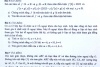 Đáp án môn Toán kỳ thi học sinh giỏi quốc gia của nhóm thầy giáo Lê Xuân Tùng - Trường THPT Chuyên Trần Phú (Hải Phòng)