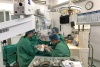Bệnh viện Hữu nghị Việt Tiệp: Tạo hình thành công vành tai đứt toàn bộ do bị cắt
