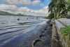 Cần dẹp bỏ các bãi tắm tự phát trên sông Giá (Thủy Nguyên)