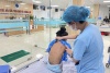 Bệnh viện Trẻ em Hải Phòng: Tiếp nhận và xử lý 2 trường hợp bệnh nhi nhập viện do bị ong đốt