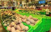 Chủ động cho thị trường cuối năm         