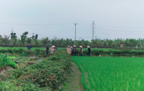 Công bố thủ tục hành chính lĩnh vực đất đai trên địa bàn Hải Phòng