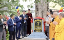 Công nhận Cây Di sản trên 300 năm tuổi tại di tích Đình - Chùa Do Nha, xã Tân Tiến, huyện An Dương