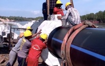 Công ty CP Nhựa Thiếu niên Tiền Phong: Linh hoạt các chính sách, phấn đấu về đích kế hoạch năm 2020