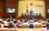 Dự thảo Luật Đơn vị HCKT đặc biệt Vân Đồn, Bắc Vân Phong, Phú Quốc: Cần phá rào tư duy để phát triển đất nước