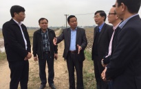 Gắn sản xuất nông nghiệp công nghệ cao với xây dựng nông thôn mới