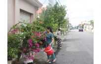Hội Liên hiệp phụ nữ huyện Kiến Thụy: Phát động hội viên hạn chế tối đa việc sử dụng túi nilon