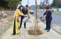 Huyện Cát Hải phát động “Tết trồng cây nhớ ơn Bác Hồ” Xuân Giáp Thìn 2024