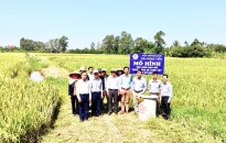 Nông dân huyện Vĩnh Bảo: Phát huy vai trò chủ thể tham gia bảo vệ môi trường nông thôn