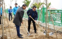 Phát động Tết trồng cây Xuân Ất Tỵ 2025 đến đoàn viên thanh niên thành phố