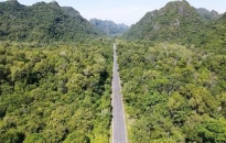 Phát triển tiềm năng du lịch thông qua điện ảnh