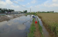 Quan trắc mẫu nước tại kênh tưới tiêu tại xã Hưng Nhân, huyện Vĩnh Bảo