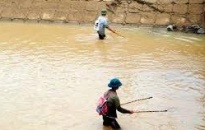 Quảng Ninh công khai đường dây nóng bảo vệ nguồn thủy sản