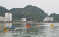 Sôi nổi Giải đua thuyền rồng huyện Cát Hải tranh cúp Báo Hải Phòng lần thứ 27 năm 2023