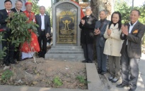 Vinh danh cây di sản tại xã Trung Lập, huyện Vĩnh Bảo