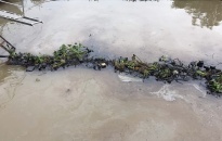 Phát hiện dầu thải loang trên sông Cấm