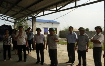Phó chủ tịch UBND TP Phạm Văn Hà dự giao ban thực hiện xây dựng nông thôn mới tại huyện An Lão