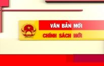 Văn bản – Chính sách