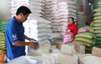 Giá gạo tăng và nỗi lo thị trường cuối năm