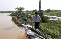 Vỡ đê bao tại xã Lê Thiện, huyện An Dương