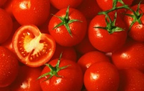 Để bảo quản cà chua được lâu