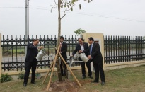 Quận Dương Kinh phát động Tết trồng cây 