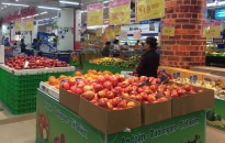 Thị trường trái cây nhập khẩu: Lựa chọn mới cho người tiêu dùng