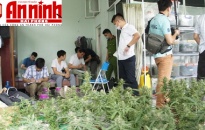 Công an quận Hồng Bàng: Phá 5 chuyên án kinh tế, ma túy