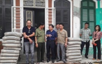 Quận Lê Chân: Phấn đấu hoàn thành cải tạo ngõ xuống cấp trong tháng 7