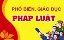 Ủy ban MTTQ Việt Nam thành phố:  Phối hợp tuyên truyền pháp luật tới 12.435 người