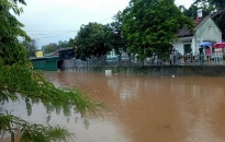 Mưa lớn gây gập úng tại Tiên Yên (Quảng Ninh)