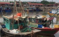 Quận Đồ Sơn: Thu nộp ngân sách trên 53 triệu đồng tiền phạt các vi phạm hoạt động thủy sản