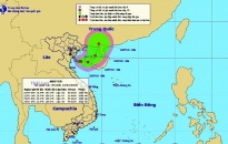 Toàn thành phố phòng chống áp thấp nhiệt đới có thể mạnh lên thành bão