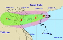 Quận Hồng Bàng:  Chủ động ứng phó với bão số 4