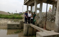 Huyện Tiên Lãng, An Dương chủ động phòng chống bão số 4