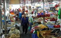 Quận Đồ Sơn: Kiểm tra an toàn thực phẩm đối với 56 cơ sở