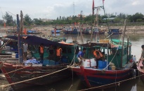 Quận Đồ Sơn: Hội nghị hướng dẫn, tập huấn chống khai thác hải sản bất hợp pháp