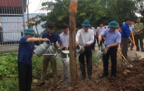 Quận Đồ Sơn: Tiếp nhận và phát động trồng 130 cây xanh