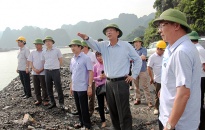 Xử lý sai phạm trong quản lý đất đai, bến cảng sông biển khu vực Cụm cảng Km6 - Quang Hanh: 5 tổ chức, đơn vị, cá nhân tự nguyện tháo dỡ công trình trái phép
