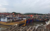 Lập Dự án đầu tư nâng cấp Cảng cá Ngọc Hải, quận Đồ Sơn