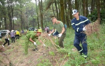 Quận Đồ Sơn: Chủ động phòng chống cháy rừng mùa hanh khô