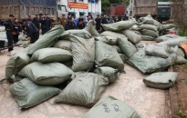 Triệt phá đường dây buôn lậu tại tỉnh Lạng Sơn