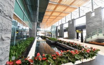 Chuyên gia Hà Lan: Sân bay Vân Đồn sẽ trở thành “cửa ngõ” của Quảng Ninh