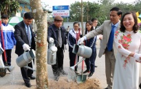 Đồng chí Nguyễn Đình Bích, phó Chủ tịch thường trực HĐND TP tham gia Tết trồng cây tại quận Ngô Quyền