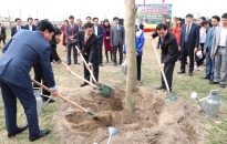 Chủ tịch UBND TP Nguyễn Văn Tùng trồng cây tại xã Toàn Thắng, huyện Tiên Lãng